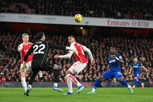 精心选择的 精心选择的